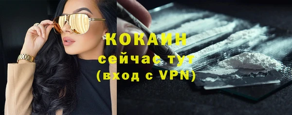 мяу мяу мука Ладушкин