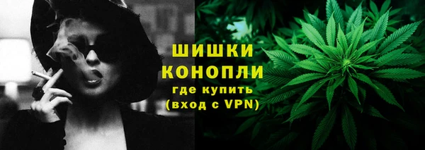 сатива Кулебаки