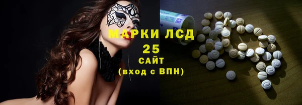 сатива Кулебаки