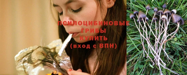 твердый Лабытнанги