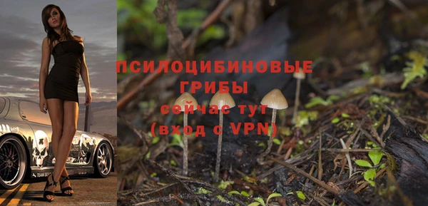 сатива Кулебаки