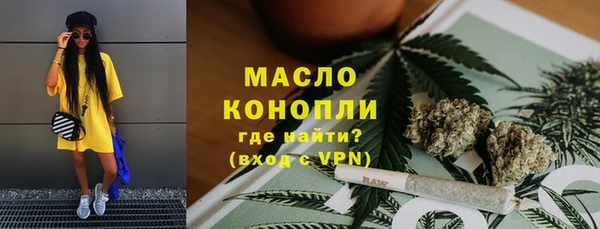 сатива Кулебаки