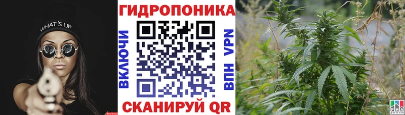 Купить закладки  Алексеевка  МАРИХУАНА MAZAR 